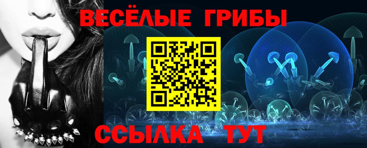 Псилоцибиновые грибы Cubensis Нерюнгри